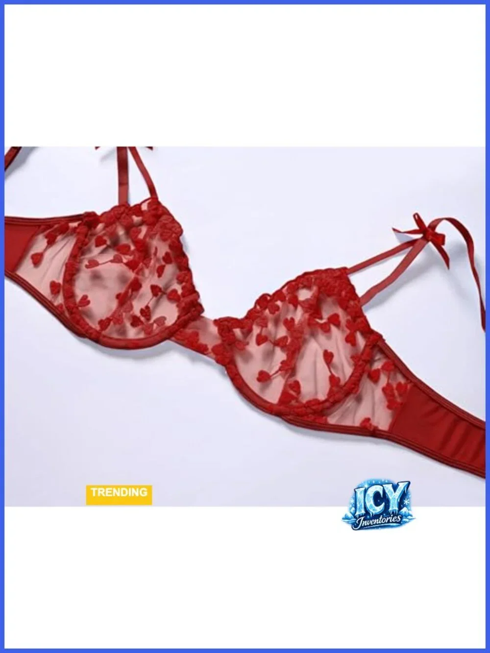 Sexy Lace Lingerie Set with Underwire Bralette and Bikini Panty